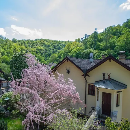 Guest house U Jelena *