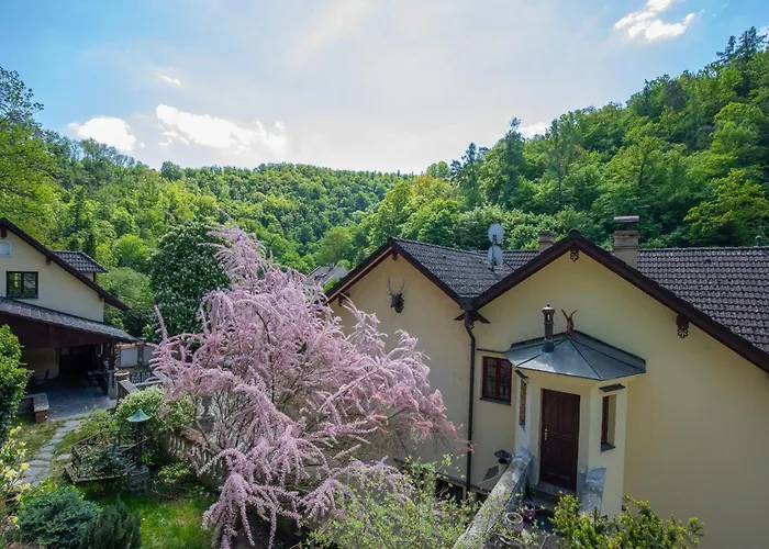 Casa de hóspedes U Jelena 3*